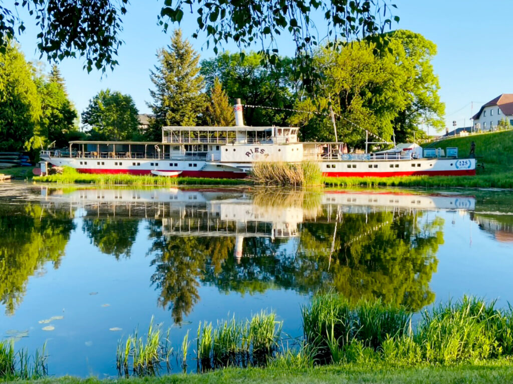 Seitenraddampfer RIESA am Ufer der Alten Oder mit Spiegelung des Schiffs im ruhigen Wasser, umgeben von Bäumen und Ufervegetation.